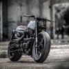  Rough Crafts Hooligan Tactics   Harley-Davidson Forty-Eight -  3