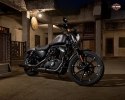  Harley-Davidson Iron 883 2016    -  1