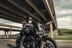  Harley-Davidson Iron 883 2016    -  10
