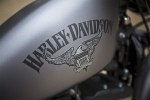  Harley-Davidson Iron 883 2016    -  5