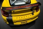 Porsche Cayman GT4 Clubsport    -  3