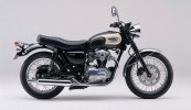  Kawasaki W800 Final Edition -  7