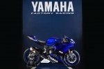 EICMA 2016:   Yamaha YZF-R6 2017 -  5