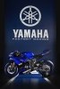 EICMA 2016:   Yamaha YZF-R6 2017 -  7