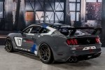 Ford GT  Mustang GT4    -  4