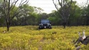    Mahindra  Jeep Wrangler -  8