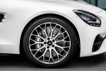  :    Mercedes-AMG GT   -  34