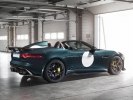 Jaguar      -  12