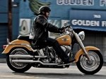  Harley-Davidson Softail Fat Boy FLSTF 6