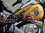  Harley-Davidson Softail Fat Boy FLSTF 9