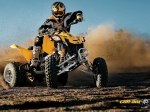  Can-Am DS 450 3