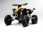  Can-Am DS 450 X xc 8