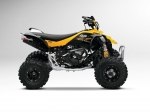  Can-Am DS 450 X xc 9