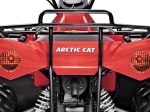  Arctic Cat 450 Core 9