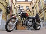  Viper Harley (ZS50-F) 1