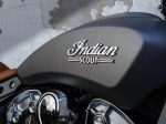  Indian Scout 19