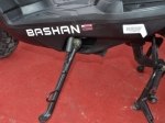  Bashan BWS 150 8