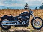  Harley-Davidson Softail Standard 1
