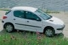- Peugeot 206:  