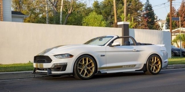 Ford    Shelby GT