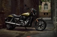  Harley-Davidson     -  100% 
