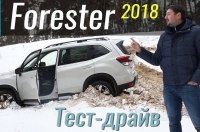    Forester?  -