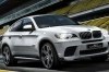   BMW X6 Performance Unlimited