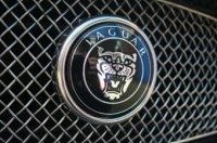 Jaguar   "" BMW    