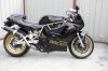  Ducati RGV900
