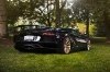 Lamborghini Aventador    - PUR        