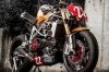  Radical Ducati Matador 2013