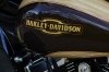  Harley-Davidson    GM