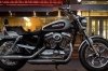  Harley-Davidson Sportster 1200 Custom 2015