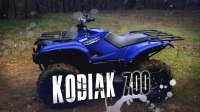 ³  Yamaha Kodiak 700 (EPS/SE)