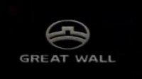 ³   Great Wall Motors