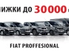      Fiat Professional    30 000 .