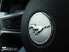   (Ford Mustang) -  23