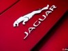   (Jaguar F-Type) -  9
