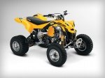  Can-Am DS 450 1