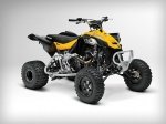  Can-Am DS 450 X mx 1