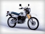  Suzuki DR200 Djebel 2