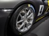 Porsche Cayman GT4 Clubsport готов к бою - фото 4