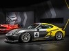 Porsche Cayman GT4 Clubsport готов к бою - фото 5