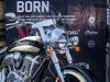 Мотоцикл Indian Chief Vintage Jack Daniel’s 2016 - фото 6