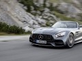 Mercedes-Benz представил родстер AMG GT - фото 2