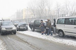 Природа в Киеве: VIPы пляшут с лопатами и покупают кроссоверы, а на заправках требуют денежных средств, чтобы 