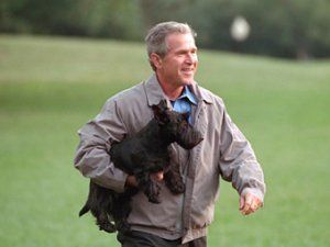 Буш оправдался за предоставленные автоконцернам кредиты