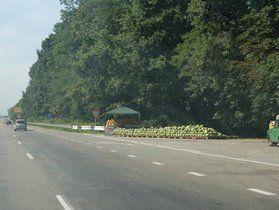 За обозримые 5 лет власти Украины гарантируют возвести 2000 км свежих дорог