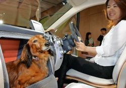 Хонда привлекает приверженцев собак
