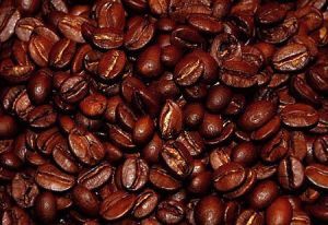 Из кофе сделают биотопливо
